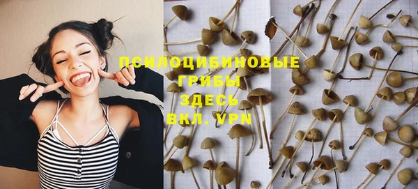 круглые Туринск